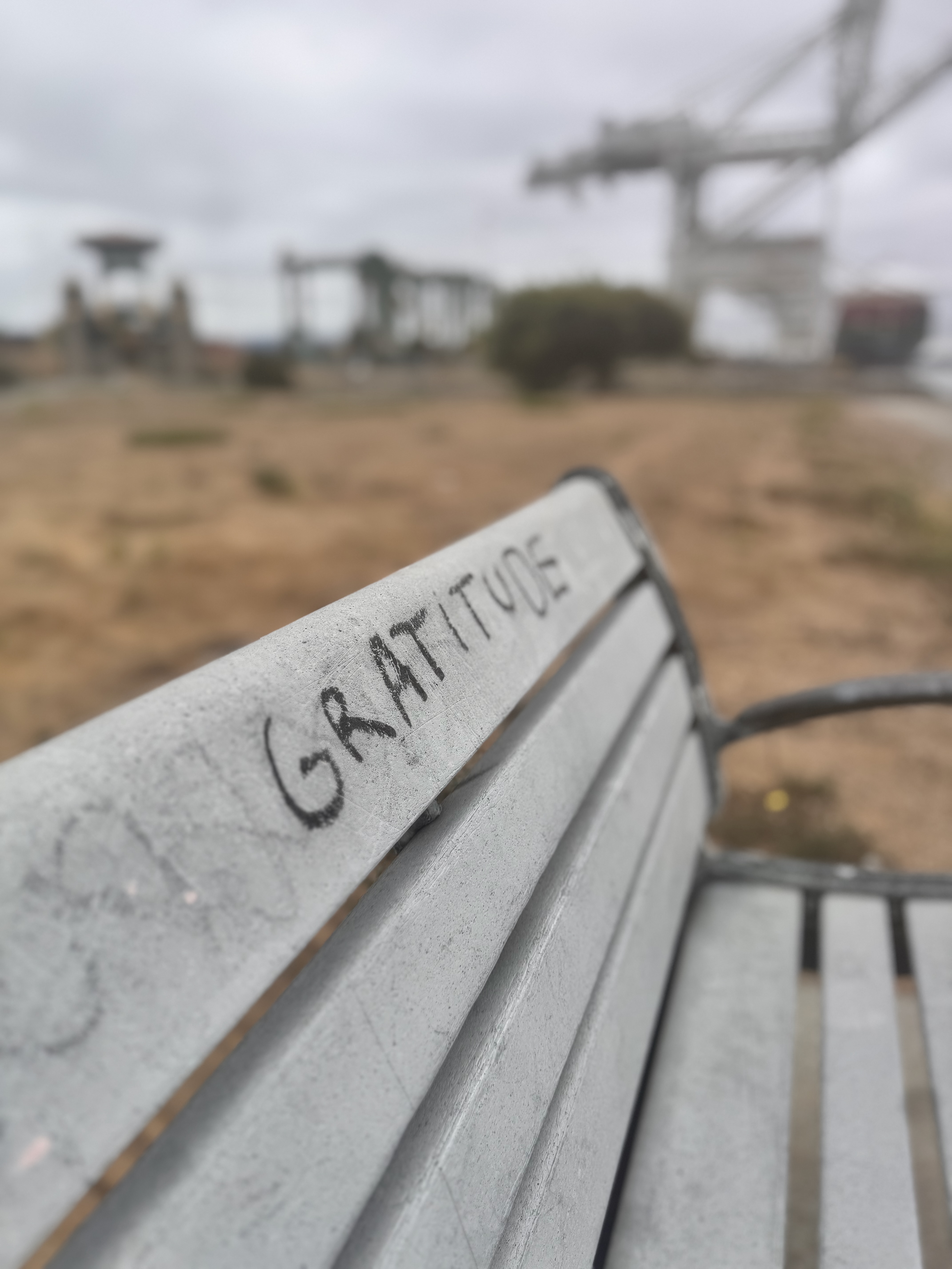 the word GRATITUDE written on a bench